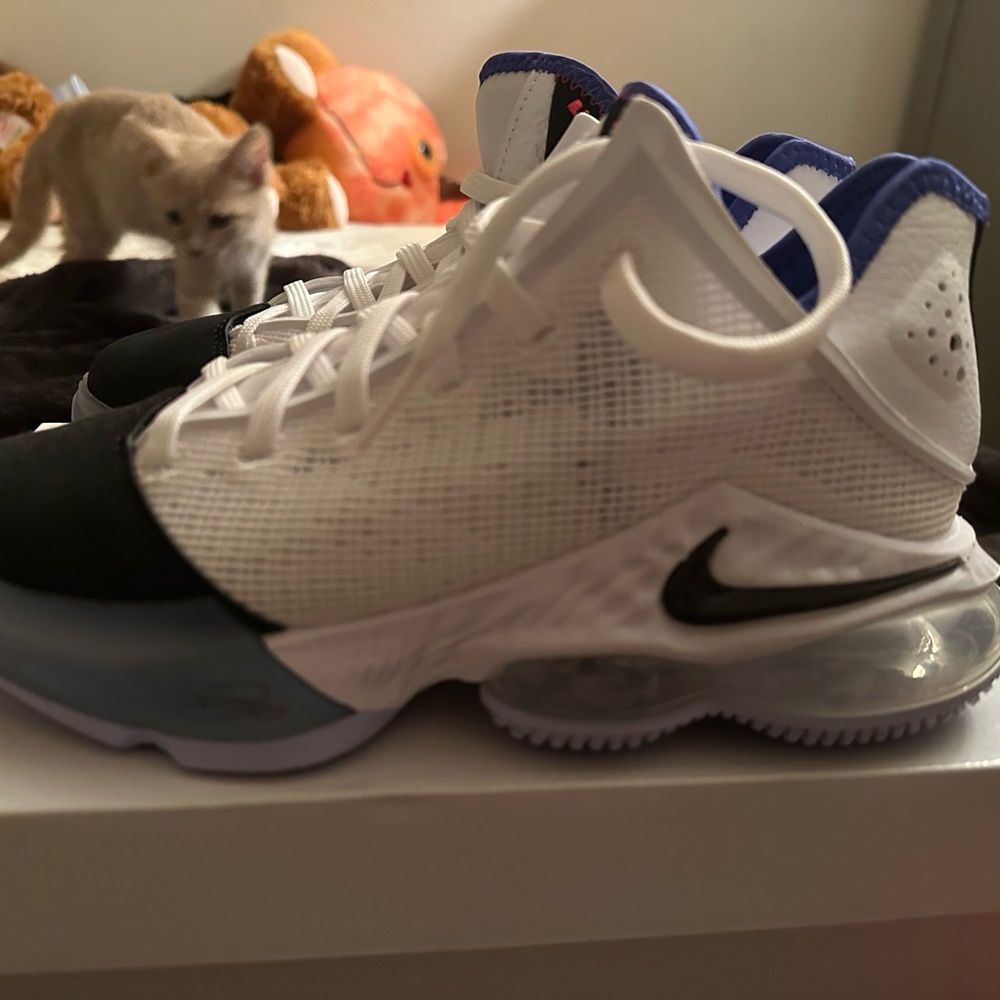 LeBron 19 low